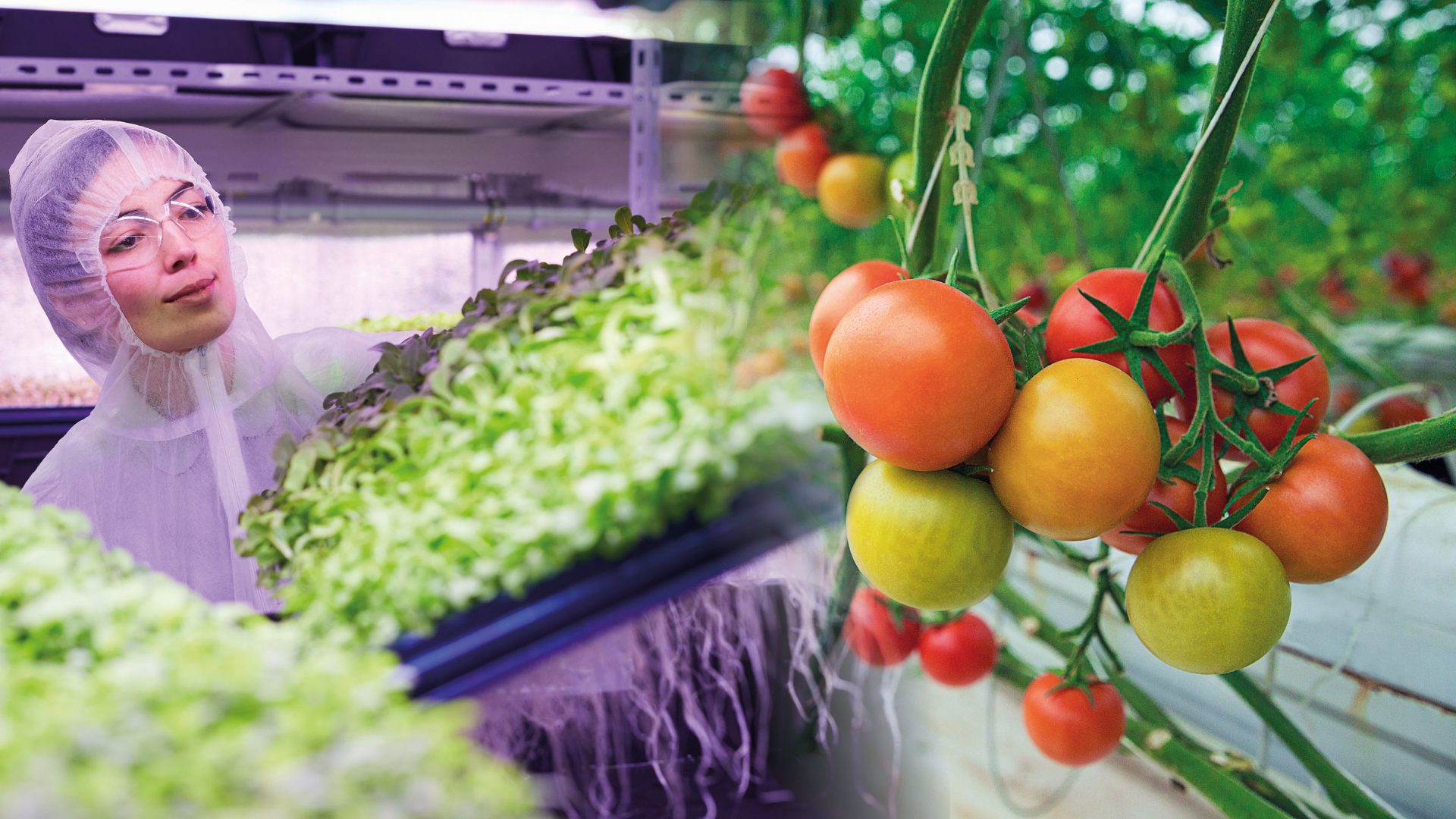 Growtech Antalya 2025’te Faber Kimya